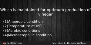 Which Is Maintained For Optimum Production Of Vinegar Biology Question