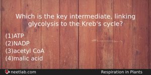 Which Is The Key Intermediate Linking Glycolysis To The Krebs Biology Question