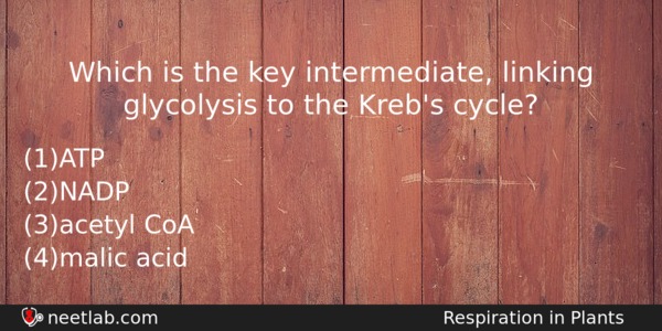 Which Is The Key Intermediate Linking Glycolysis To The Krebs Biology Question 