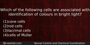 Which Of The Following Cells Are Associated With Identification Of Biology Question