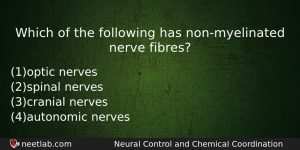 Which Of The Following Has Nonmyelinated Nerve Fibres Biology Question