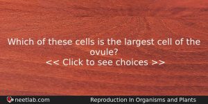 Which Of These Cells Is The Largest Cell Of The Biology Question
