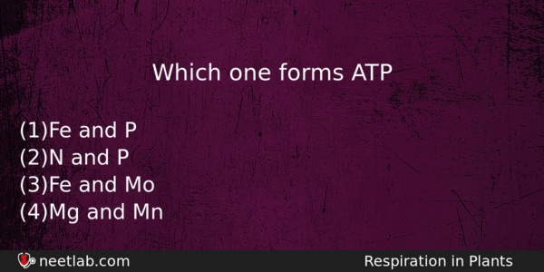 Which One Forms Atp Biology Question 