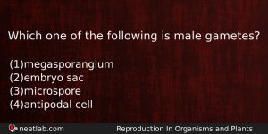 Which One Of The Following Is Male Gametes Biology Question