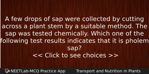 A Few Drops Of Sap Were Collected By Cutting Across Biology Question 