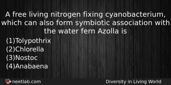 A Free Living Nitrogen Fixing Cyanobacterium Which Can Also Form Biology Question 