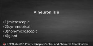 A Neuron Is A Biology Question