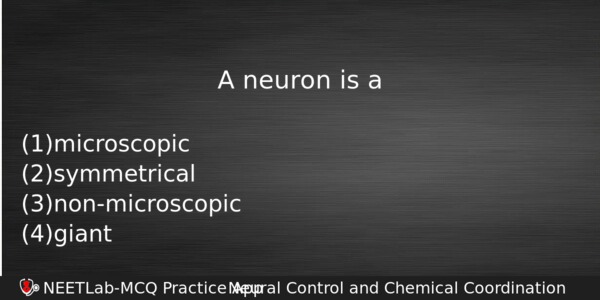 A Neuron Is A Biology Question 