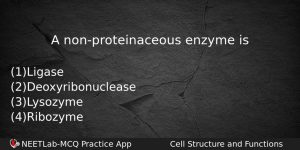 A Nonproteinaceous Enzyme Is Biology Question