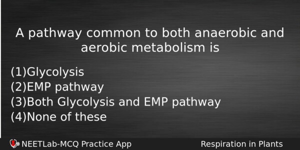 A Pathway Common To Both Anaerobic And Aerobic Metabolism Is Biology Question 
