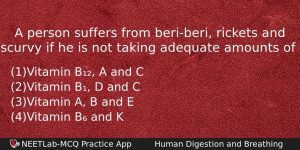 A Person Suffers From Beriberi Rickets And Scurvy If He Biology Question