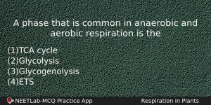 A Phase That Is Common In Anaerobic And Aerobic Respiration Biology Question