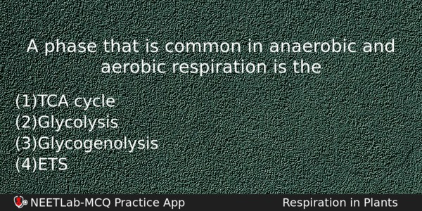 A Phase That Is Common In Anaerobic And Aerobic Respiration Biology Question 