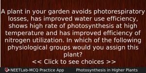 A Plant In Your Garden Avoids Photorespiratory Losses Has Improved Biology Question