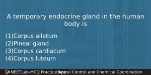 A Temporary Endocrine Gland In The Human Body Is Biology Question
