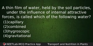 A Thin Film Of Water Held By The Soil Particles Biology Question