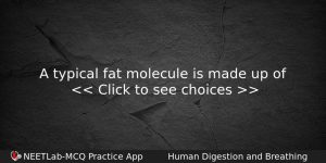 A Typical Fat Molecule Is Made Up Of Biology Question