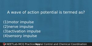 A Wave Of Action Potential Is Termed As Biology Question