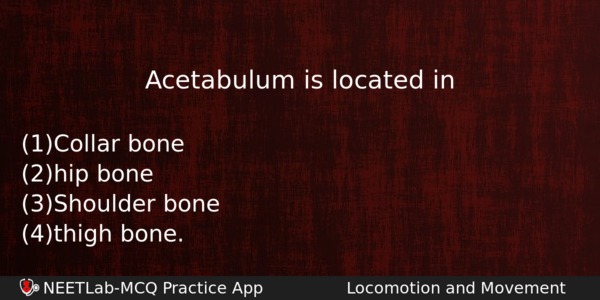Acetabulum Is Located In Biology Question 