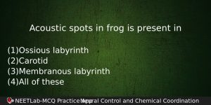 Acoustic Spots In Frog Is Present In Biology Question