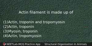 Actin Filament Is Made Up Of Biology Question