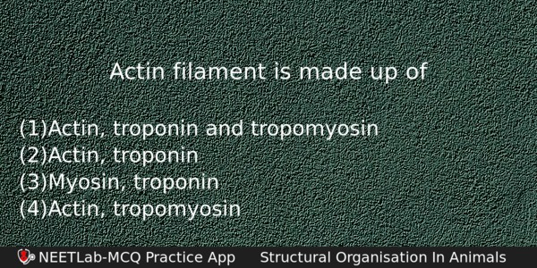 Actin Filament Is Made Up Of Biology Question 