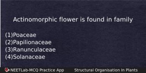 Actinomorphic Flower Is Found In Family Biology Question