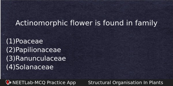 Actinomorphic Flower Is Found In Family Biology Question 