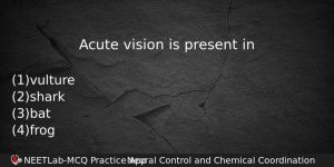 Acute Vision Is Present In Biology Question