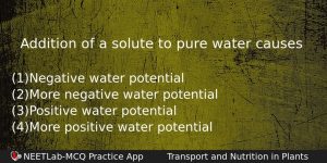 Addition Of A Solute To Pure Water Causes Biology Question