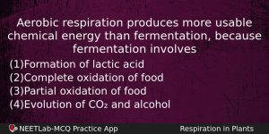 Aerobic Respiration Produces More Usable Chemical Energy Than Fermentation Because Biology Question
