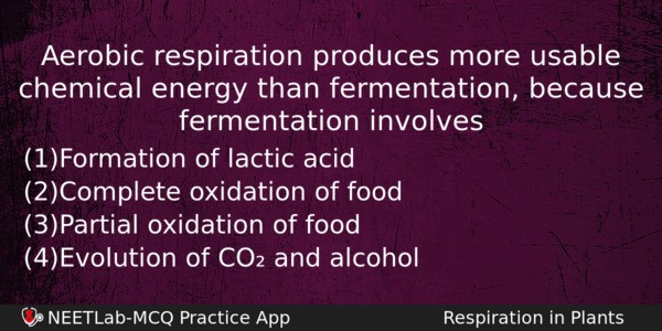 Aerobic Respiration Produces More Usable Chemical Energy Than Fermentation Because Biology Question 