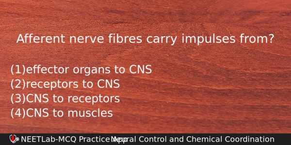 Afferent Nerve Fibres Carry Impulses From Biology Question 