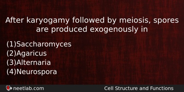 After Karyogamy Followed By Meiosis Spores Are Produced Exogenously In Biology Question 