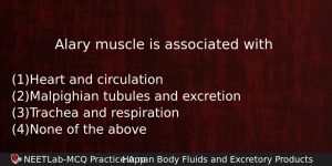 Alary Muscle Is Associated With Biology Question