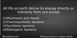 All Life On Earth Derive Its Energy Directly Or Indirectly Biology Question