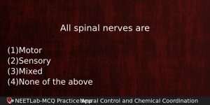 All Spinal Nerves Are Biology Question