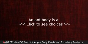 An Antibody Is A Biology Question