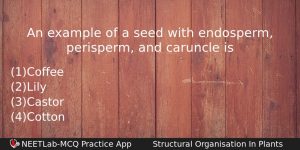 An Example Of A Seed With Endosperm Perisperm And Caruncle Biology Question