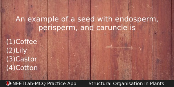 An Example Of A Seed With Endosperm Perisperm And Caruncle Biology Question 