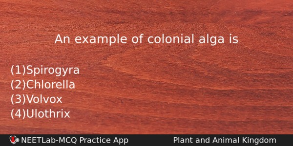 An Example Of Colonial Alga Is Biology Question 