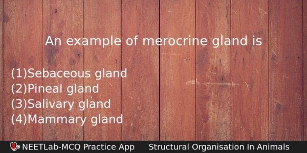 An Example Of Merocrine Gland Is Biology Question 