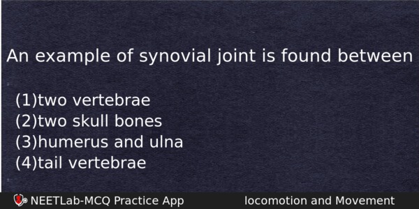 An Example Of Synovial Joint Is Found Between Biology Question 