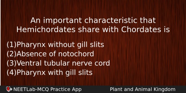 An Important Characteristic That Hemichordates Share With Chordates Is Biology Question 