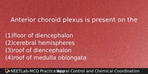 Anterior Choroid Plexus Is Present On The Biology Question