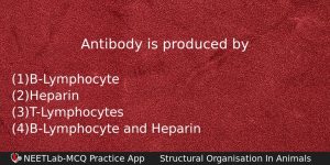Antibody Is Produced By Biology Question