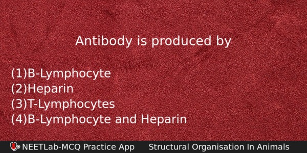 Antibody Is Produced By Biology Question 