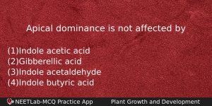 Apical Dominance Is Not Affected By Biology Question
