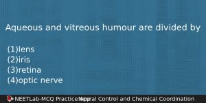 Aqueous And Vitreous Humour Are Divided By Biology Question