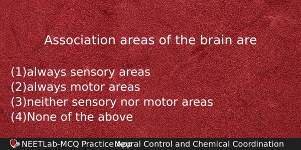 Association Areas Of The Brain Are Biology Question 